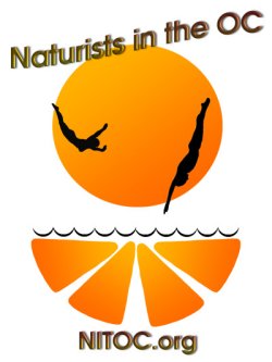 Naturists in the OC logo. Two nude divers silhouetted against a large orange (sun?) plunging toward 'water' over four orange segments.