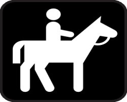 horse rider graphic